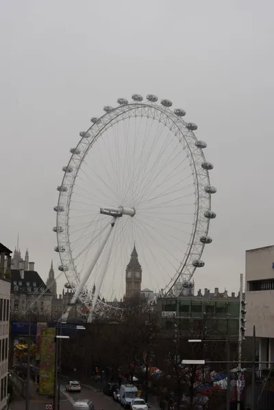 DSC_5816 (Large).JPG